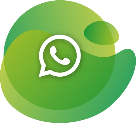 SISTEMA REGAME whatsapp