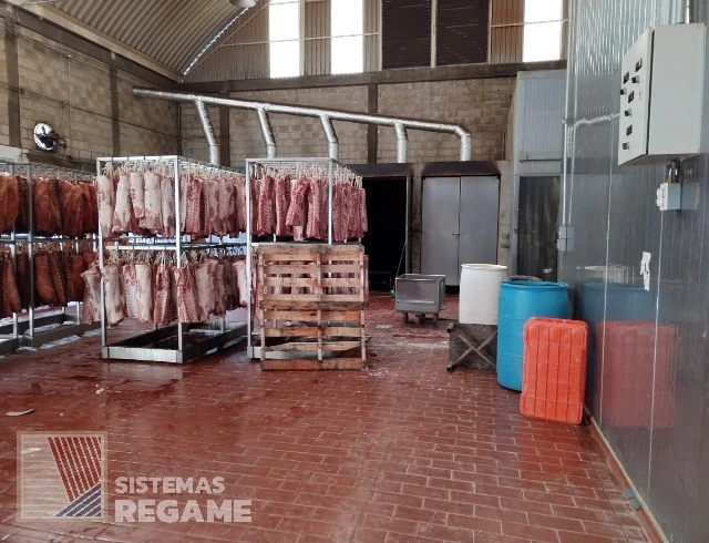 BOQUILLAS Y JUNTEADORES REGAME