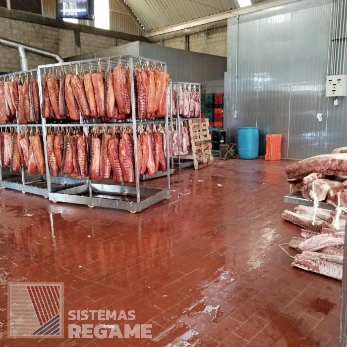 SISTEMAS REGAME CARNICOS